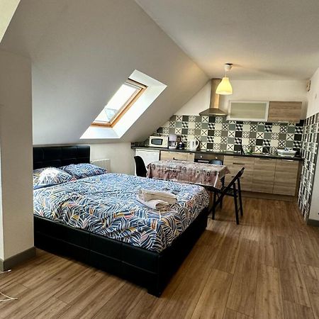 Appartement 4 Personnes En Plein Centre De Colmar Kültér fotó